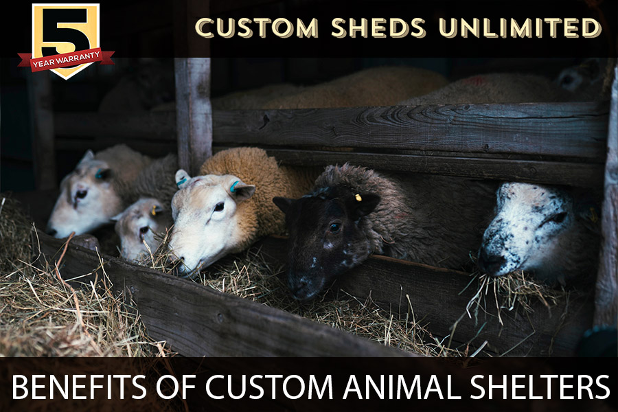 benefits-of-custom-animal-shelters-custom-sheds-unlimited
